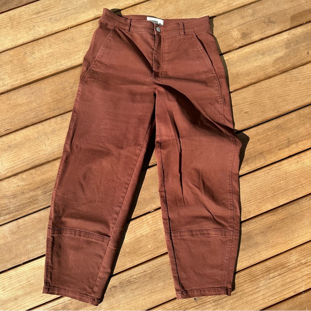 Everlane Barrel Pants